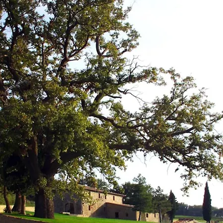 Spinarello * Pienza